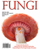 Fun gi Magazine Fall 2011