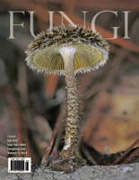 FUNGI Magazine Fall 2022
