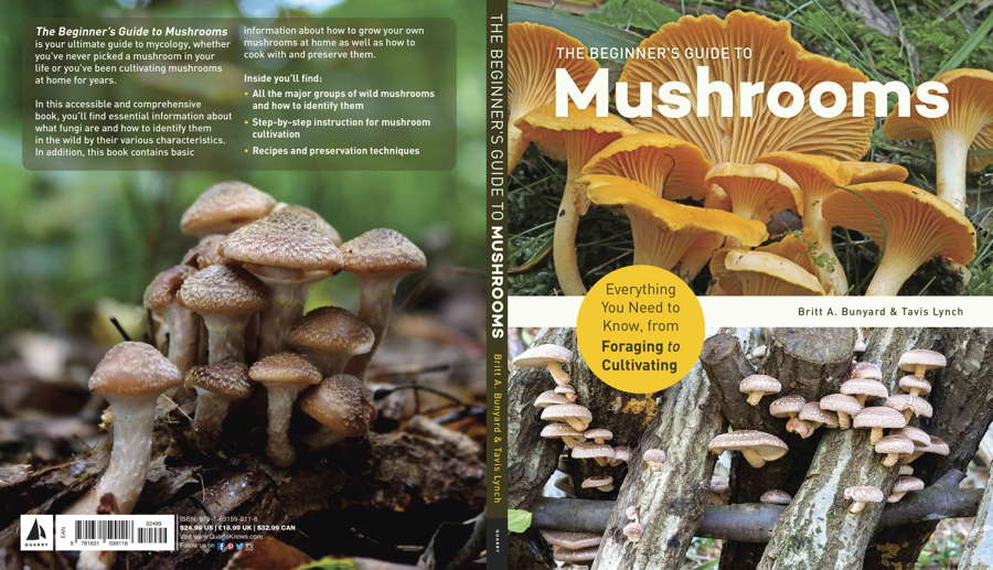 The Beginner's Guide To Mushrooms