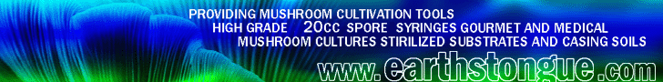 Visit Earthstongue.com