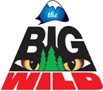 The Big Wild Radio Show