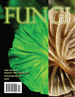 FUNGI  Magazine  Spring 2011