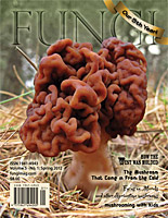 FUNGI  Magazine Winter 2012