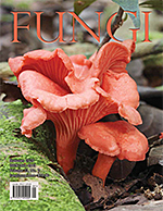 FUNGI  Magazine Winter 2012