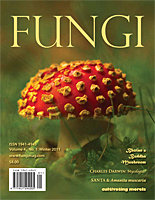 FUNGI  Magazine Winter 2011