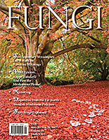 FUNGI  Magazine Winter 2021