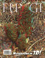 FUNGI  Magazine Winter 2022