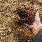 The Chatfield Mushroom Degradation Trial