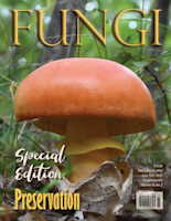 Vol. 18 No. 3 - MidSummer 2025