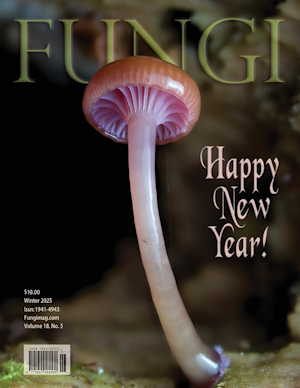 Vol. 18 No. 5: Winter 2025